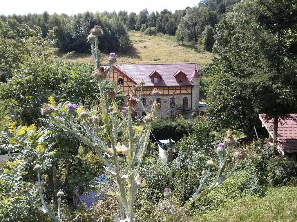 Bed and Breakfast Zbójna Debra Golejów Exterior foto